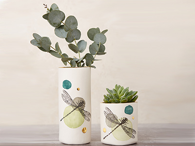 PLANT POTS WITH COLOURFUL DRAGONFLIES
