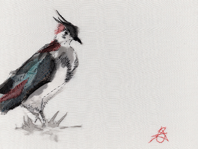 Embroidered bird on a canvas background