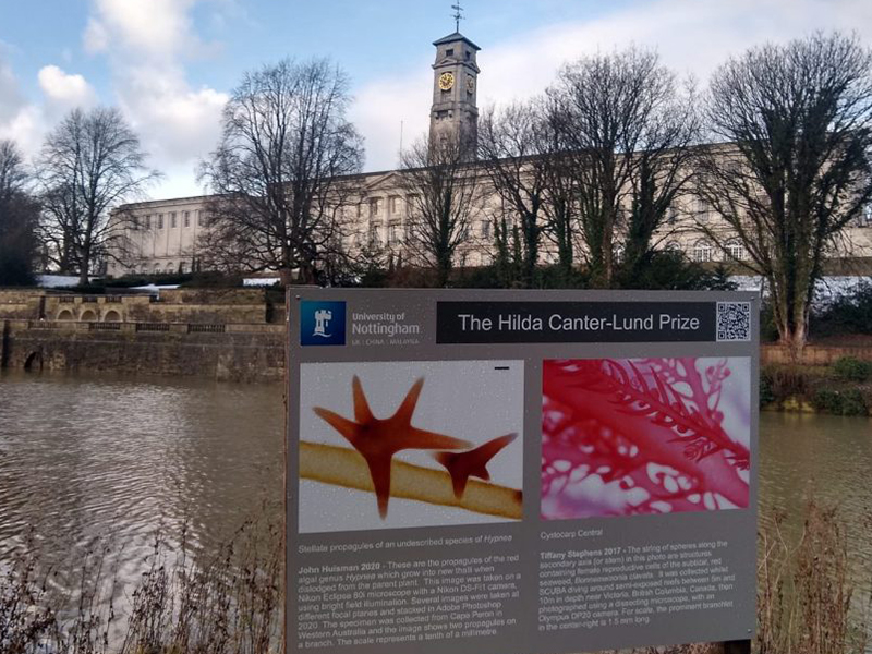 Trent Building with an exhibition board from The Algae Exhibition in Highfields Park