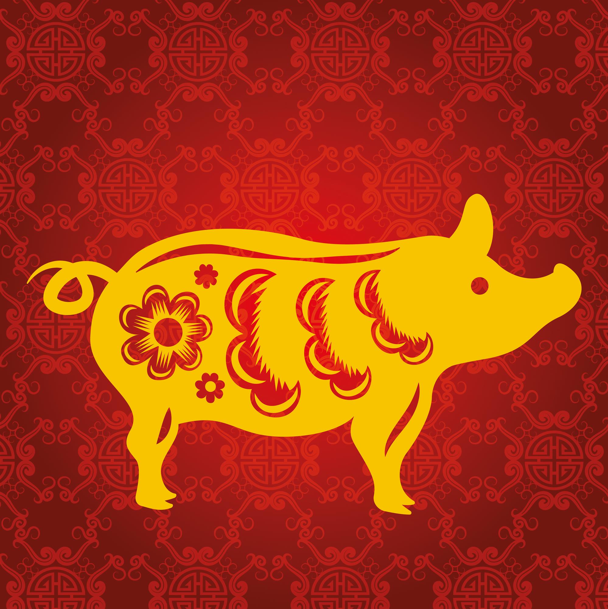 yellow boar on a red background