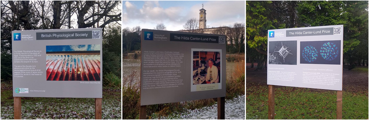 Images of three boards from the Algae Exhibition at Highfields Park