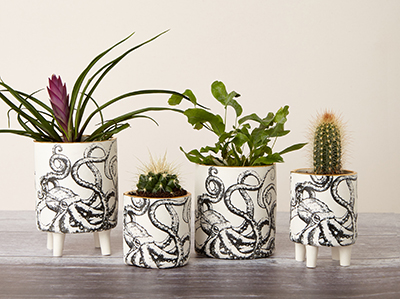 Three white plant pots with black octopus sketching on. Shrubbery is emerging from the top of the pots.