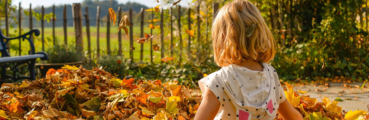 Little girl playing with fallen golden leaves in park