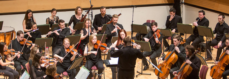 a photo of Skipton Camerata orchestra performing in a concert hall