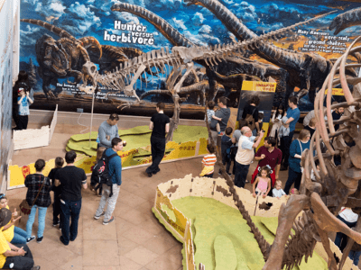 Dinosaurs of China exhibition at Wollaton Hall and Lakeside Arts
