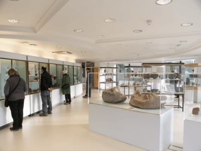 Visitors looking at cases in the University of Nottingham Museum