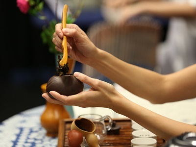 Tea Ceremony and Guzheng