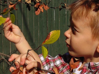 Outdoor Detectives