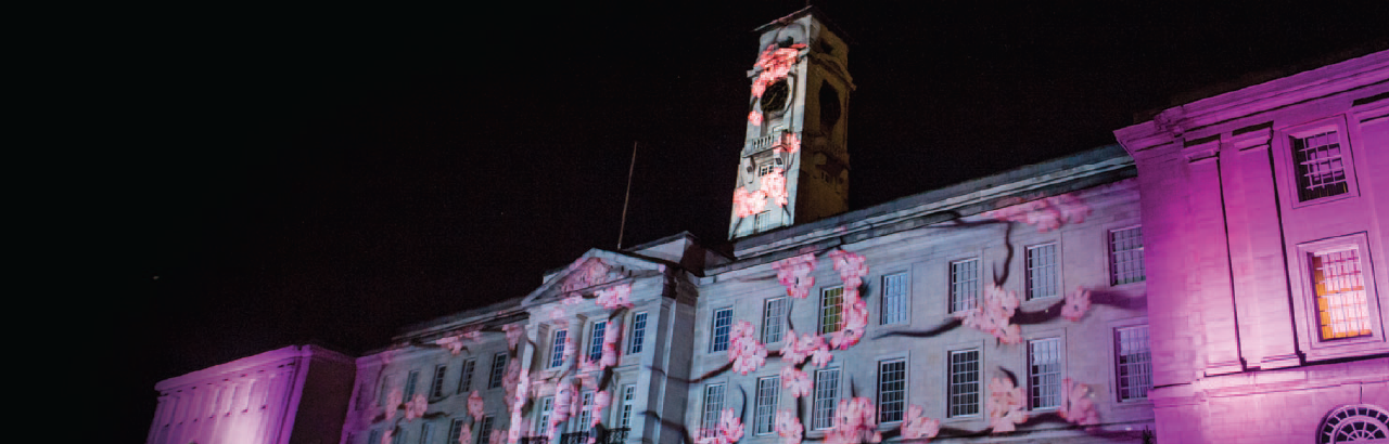 Chinese New Year Projections on the Trent Building