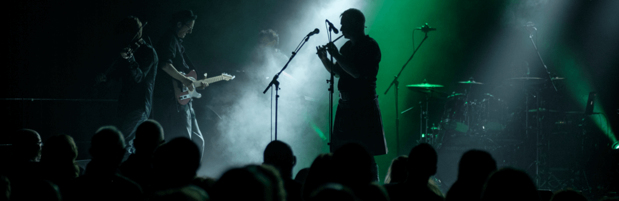 Peatbog Faeries performing at Lakeside Arts