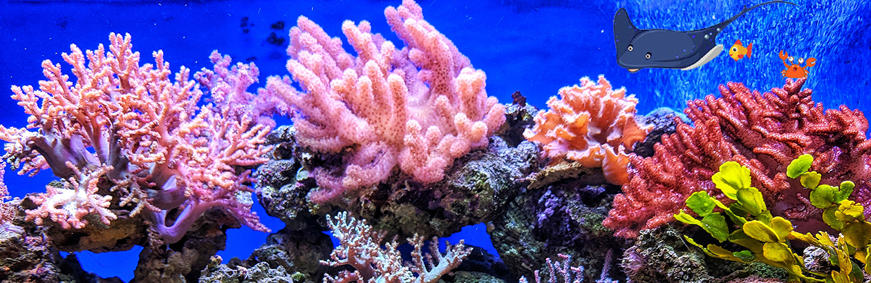 Ocean floor with coral and plants and cartoon fish, crab and stingray 