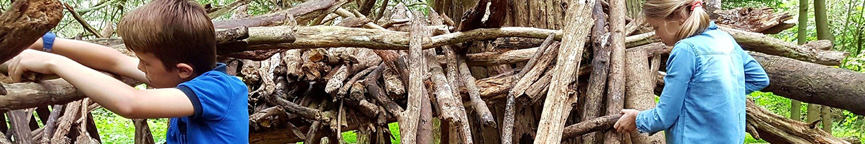 Two children (boy in blue tshirt on left and girl in blue shirt on right) make a den structure out of wood and sticks in forest