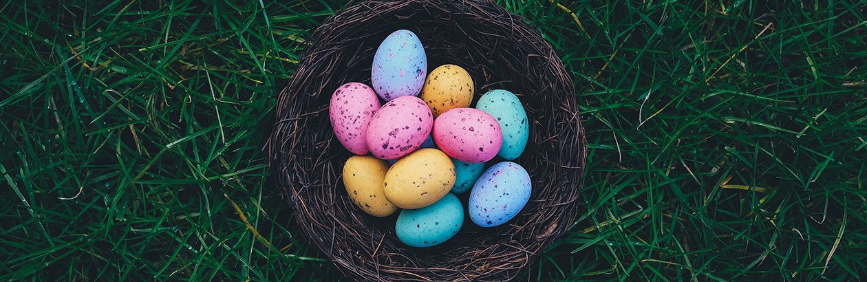 Eggs in a basket on grass